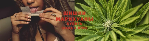 дмт Богородицк