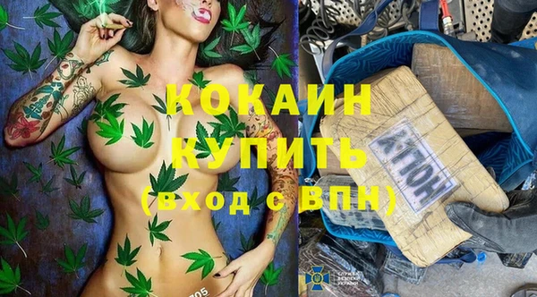 дмт Богородицк