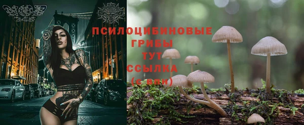альфа пвп Богданович