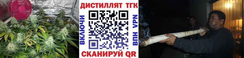 цена   Гатчина  omg ссылки  Дистиллят ТГК концентрат 