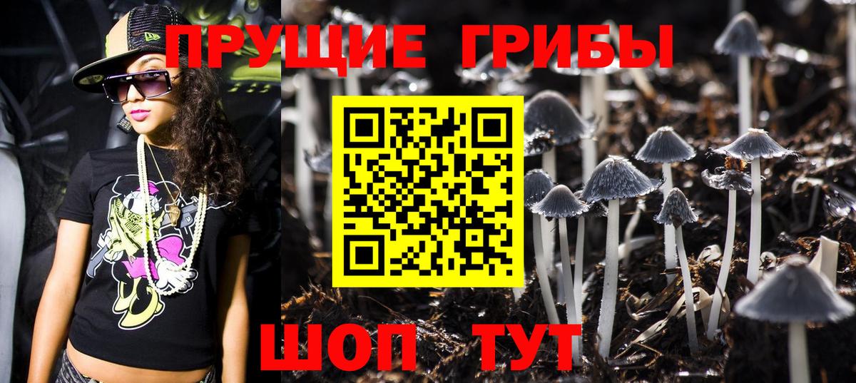 Псилоцибиновые грибы прущие грибы Гатчина