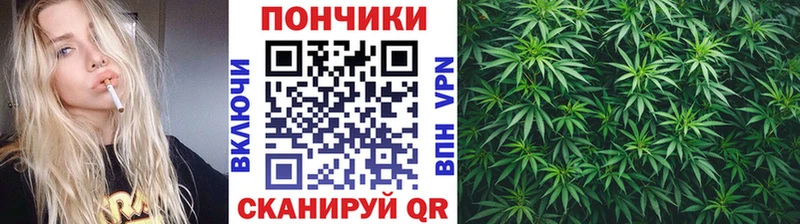 блэк спрут как войти  Гатчина  Каннабис OG Kush  где можно купить наркотик 