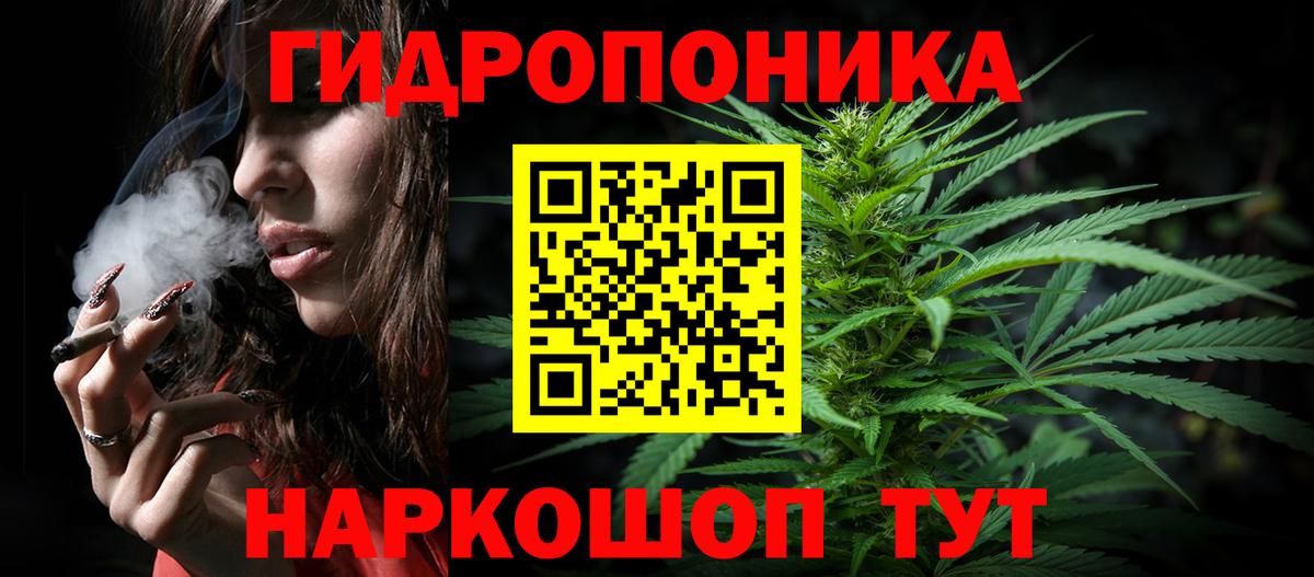 Бошки марихуана LSD WEED  Вход с VPN  Конопля марихуана  Гатчина 
